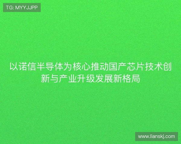 以诺信半导体为核心推动国产芯片技术创新与产业升级发展新格局